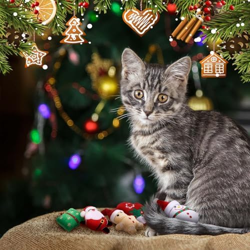 Soulchen 12 Pcs Christmas Catnip Toys with Crinkle Sound