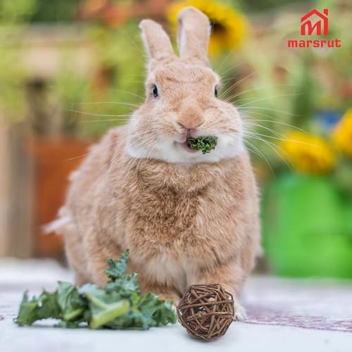 6pcs Willow Balls for Guinea Pig/Rabbits/Bunny, Chew Toys, 2.1-2.3" Natural Branch Wicker Enrichment Treat for Busy Activity & Dental Health, for Chinchillas, Hamsters, Gerbils, Mice, Small Animal Pet