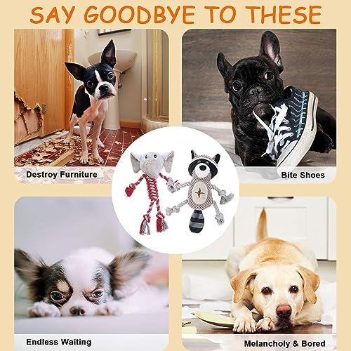 Elephant Rope Dog Toy, Plush Raccoon Squeaky Dog Toy, 2 Pack
