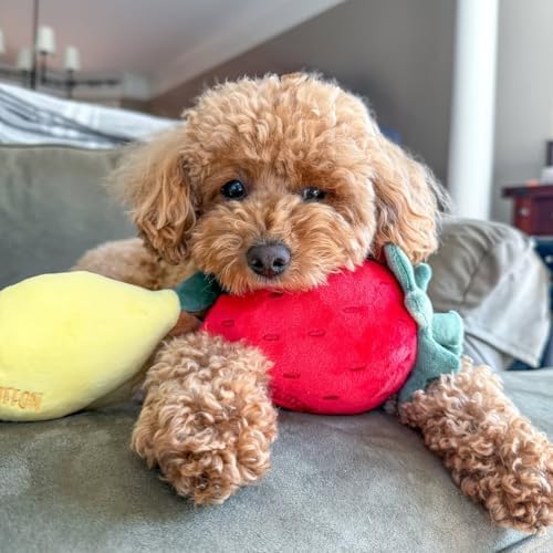 CHEWFFON Squeaky Plush Dog Toy, Lemon
