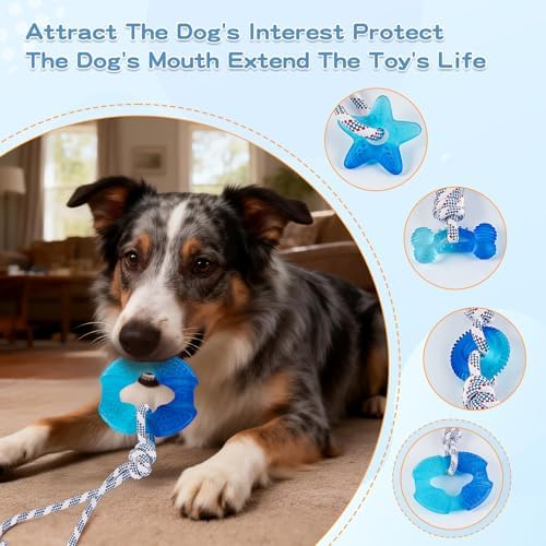 Dog Chew Toys for Aggressive Chewers, Multiple Textures & Rope, ndestructible Tough Durable Interactive Dog Toys, Puppy Chew Toys for Teething， The Large Blue Circle