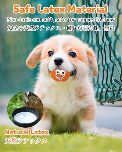 SCHITEC Squeaky Dog Balls, [4 Pack] Cute Interactive Latex Rubber Toys with Squeaker, 2.2'' Soft Bouncy Fetch Ball for Puppy Small Breed Dogs
