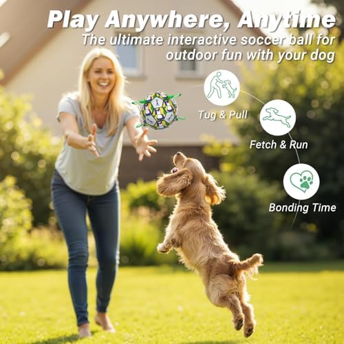 Dog Toy Balls, Dog Soccer Ball with Straps, Interactive World Cup Soccer Ball for Medium Dogs, Water Fetch Toys, Tug-of-War, Herding Ball Toys Outdoor, Dog Birthday Toy, Green (6 Inch)