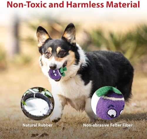 Gigwi Squeaky Tennis Balls for Dogs, 3 Pack Fruit Dog Ball for Small Dogs