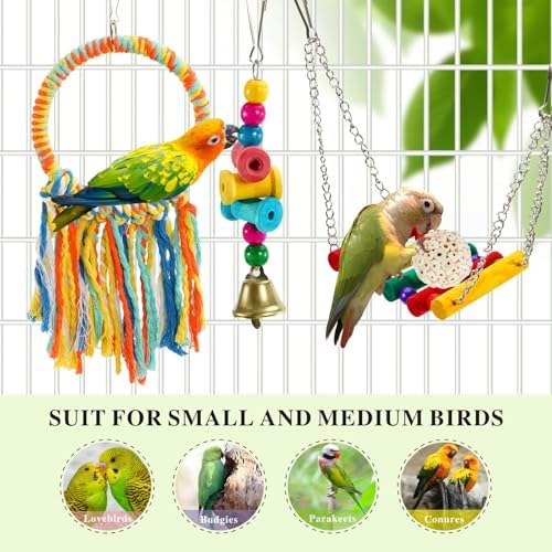 Bird Hoop Swing and Parakeet Toys,Natural Sola Balls,Shredding Hanging Toy