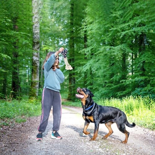 Fuzzl Eco Leather Otto Octopus Natural and Tough Dog Toys - Long Lasting Chew Toys for Aggressive Chewers - Strong Dog Toy for Dogs and Puppy