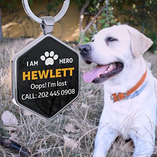 Dog Tags Personalized Pet ID Tags - QR Code Customize Dog Cat Tag - Pet Online Profile Display Pet Information