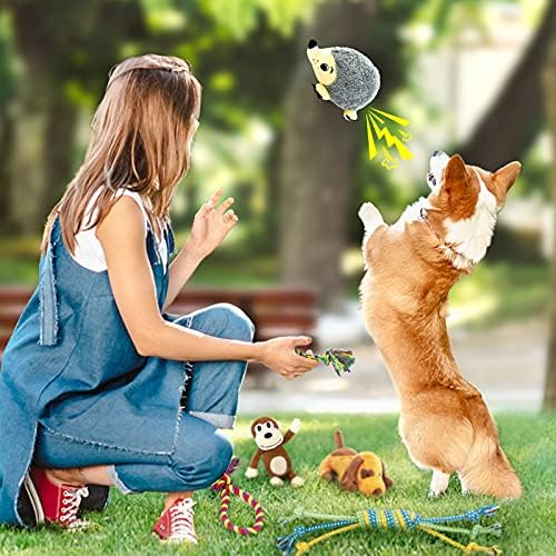 LEGEND SANDY Puppy Toys, Squeaky Dog Toys for Small Dogs, 12 Pack Puppy Chew Toys for Teething, Dog Rope Toy and Cute Stuffed Animals Value Bundle | Tug of War Toy and Cute Stuffed Animals Value Bundle, Gift fot Pet