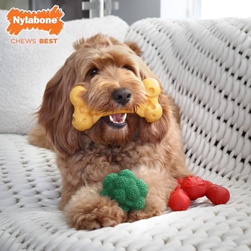 Nylabone Power Chew Toy Bundle, Dog Toys for Aggressive Chewers, 3 Pack