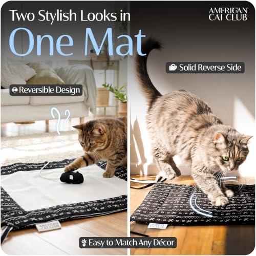 American Cat Club Reversible Crinkle Cat Mat with Mouse Toy, 18" x 13"