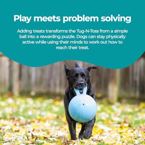 Jolly Pets Tug-n-Toss Heavy Duty Dog Toy Ball with Handle, 8 Inches/Large, Blueberry