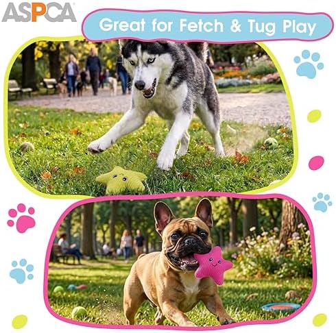 ASPCA 2 Pack Plush Dog Toy with Squeaker for Small & Medium Dogs, Soft Durable Stuffed Pet Toy for Fetch, Tug & Cuddle, Interactive, Lightweight, Engaging Play Toy for Dogs
