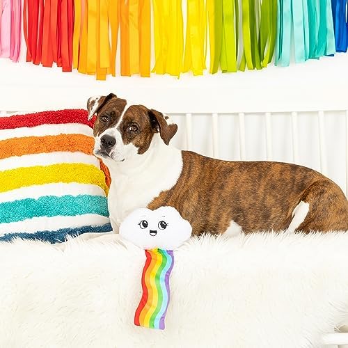 Fringe Studio Plush Dog Toy, Head in The Clouds, Pet Shop Collection (314150)