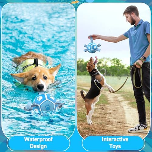 QDAN Small Dog Balls, 5 Inch Dog Soccer Ball with Straps, Outdoor Dog Toys, Pet Training Soccer for Small Medium (5 Inch)