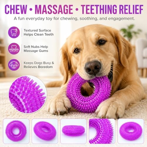 Squeaky Dog Toys for Aggressive Chewers, Floating Donut Ring for Large Dogs