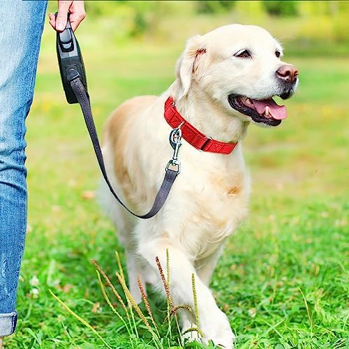 Personalized Martingale Dog Collar-Reflective Martingale Collars with Buckle, Custom Training Martingale Dog Collars Embroidered with Name and Phone Number for Small Medium Large Dogs