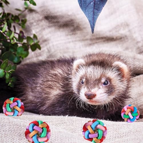 4 Pack Ferret Toys Colorful Bouncy Rubber Balls with Bell Ferret Teeth Grinding Wiggle Ball Interactive Sound Toy Exercise Play Scratch Chew Toys for Indoor Cat Dog Pet(4 Pack)