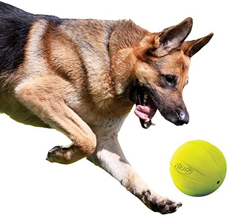 Nerf Dog Rubber Ball Dog Toy with Squeaker, Lightweight, Durable and Water Resistant, 4 Inch Diameter for Medium/Large Breeds, Single Unit, Green