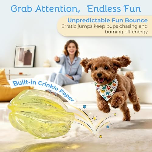 Ruffoo Dog Teething Chew Toy with Built-in Crinkle Paper, Soft TPR Puppy Enrichment Toys for Teething, Boredom Relief, Soothes Achy Gums, Enrichment to Keep Small Dogs and Puppies Busy