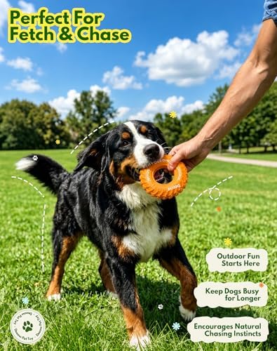 Deeow Dog Chew Tire Toy, Natural Rubber Puppy Teething Ring-6.3'' Orange