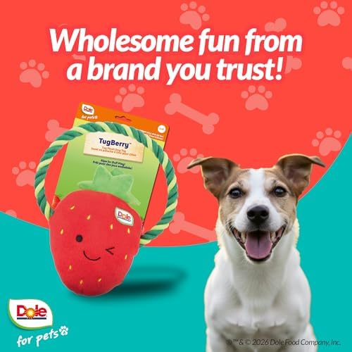 Dog Rope Toy with Squeakers, Strawberry Tug of War Dog Toy, Tough Cotton Rope Toys for Dogs, Aggressive Chew Toys for Medium Dogs