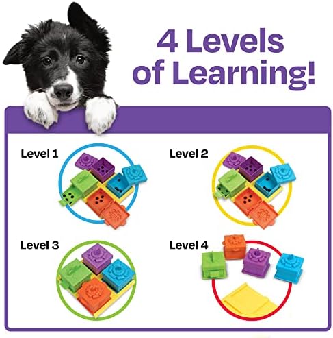 Brightkins Surprise Party Treat Puzzle - Enrichment Puzzls Toys for Dogs, Interactive Gifts for Puppies
