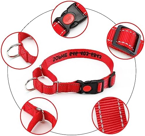 Personalized Martingale Dog Collar-Reflective Martingale Collars with Buckle, Custom Training Martingale Dog Collars Embroidered with Name and Phone Number for Small Medium Large Dogs