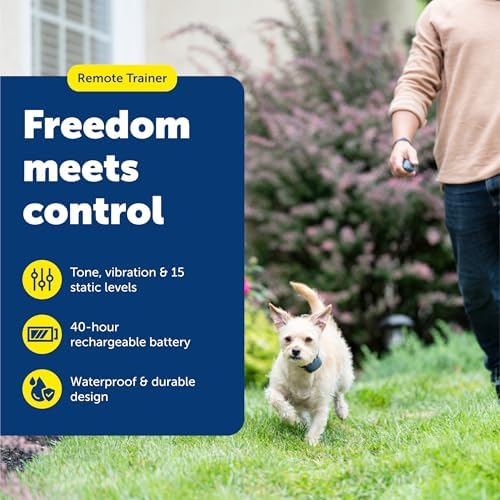 PetSafe 100 Yard Lite Remote Trainer, Rechargeable, Waterproof, Tone / Vibration / 15 Levels of Lighter Static Stimulation for Sensitive or Small Dogs 8 lb. and Up