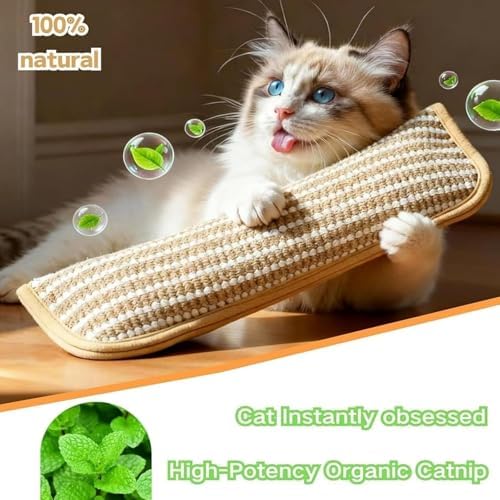 Catnip Chew Toy 2 Pack,Sisal Pillow Interactive Catnip Chew Toy,Containing 6000 mg of A+ Organic Catnip，Suitable for Indoor Scratching, Chewing, and Teething,Fun for Kittens and Adult Cats