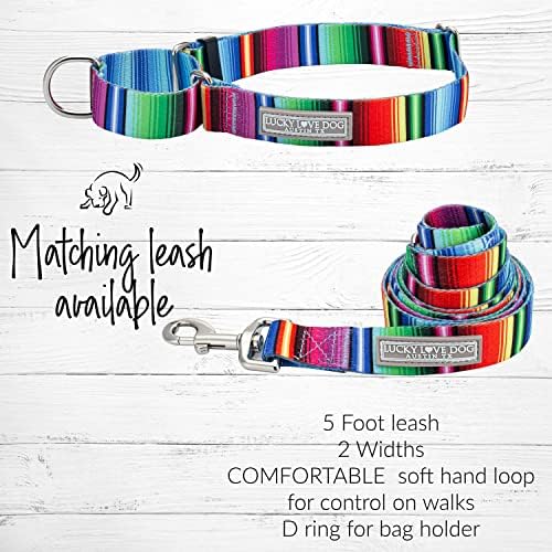 Lucky Love Dog Martingale Collar for Medium Dogs No Slip – Nacho, Medium