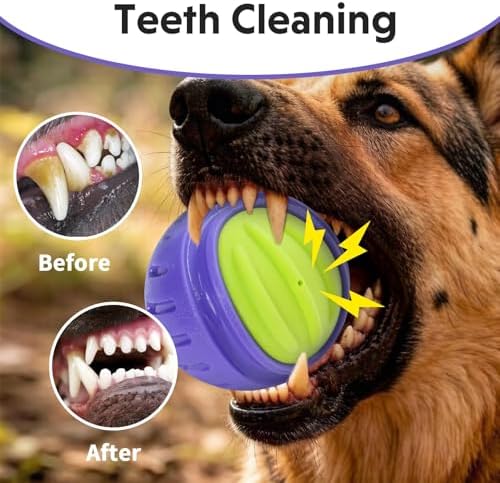 Dog Toy Ball, Indestructible Squeaky Ball for Aggressive Chewers, 3" TPR Rubber Clean Teeth, Relieve Anxiety & Boredom, Interactive Fetch Toy for Medium Large Dogs, Pools &Outdoor Play (Purple)