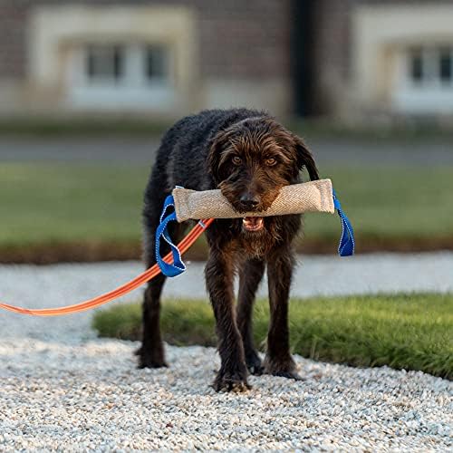 Herm Sprenger - Jute Dog Tug Toy - Jute Dog Training Tool with 2 Handles for Training, Interactive Play, Tough Tug of War, for Small Medium Large Breeds (Small)