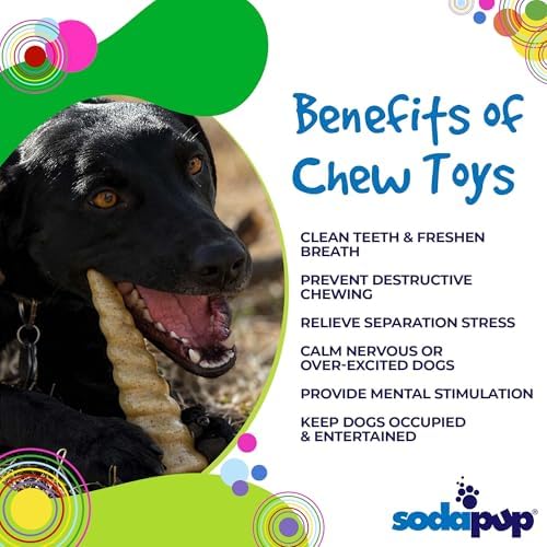SodaPup Unicorn Horn – Durable Nylon Dog Chew Toy Made in USA from Non Toxic Pet Safe Food Safe Material for Aggressive Chewers, Mental Stimulation, Clean Teeth, Fresh Breath, & Problem Chewing