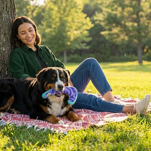 Outward Hound FlyFetch Boomerang Dog Toy, Lightweight Foam Core, Rubber Rim, Floats in Water, All Breeds, 11"