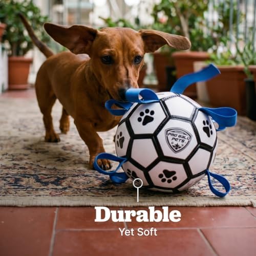 Maccabi Interactive Dog Soccer Ball for Dogs, 6” with Straps & Grab Tabs, Floats on Water, Fetch & Training Toy for Small/Medium Dogs, Herding Breeds, Waterproof Non-Toxic – ProBall Pets – White Blue