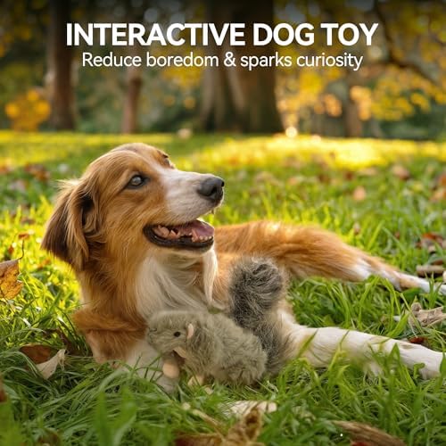ALL FOR PAWS Squeaky Dog Toys, Plush Squirrel Dog Toy, Stuffed Animal Dog Toys for Small Medium Large Dogs, Soft Puppy Chew Toy with Squeaker