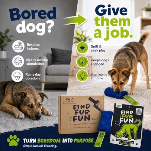 FIND-FUR-FUN Scent Training Game for Dogs with Step-by-Step Video Guide