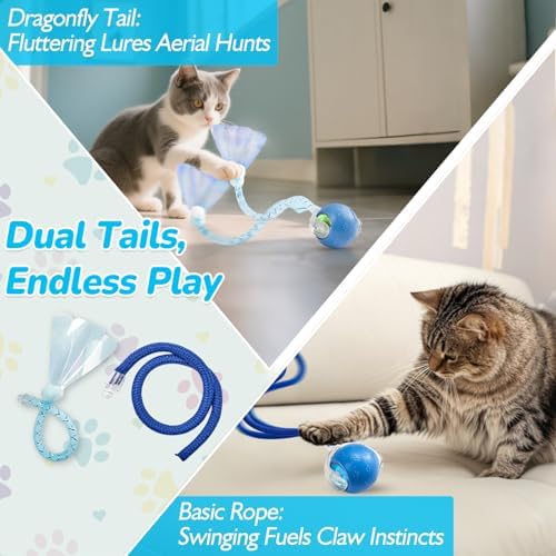 Interactive Cat Toys for Indoor Cats, Fast Rolling, Chirping, Motion Activated Automatic Cat Toy for Enrichment, Smart Cat Ball Toy 1 Count with 2 Tails and 3 Speed Adjustment, Blue