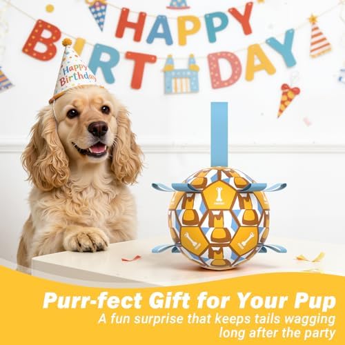 Dog Toy Balls, Dog Soccer Ball with Straps, Interactive World Cup Soccer Ball for Medium Dogs, Water Fetch Toys, Tug-of-War, Herding Ball Toys Outdoor, Dog Birthday Toy, Light Blue (6 Inch)