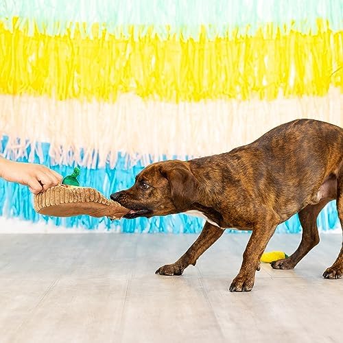 Fringe Studio Plush Dog Toy Set, Interactive Hide and Seek Play, Fiesta Till You Siesta, Pet Shop Collection (289226)