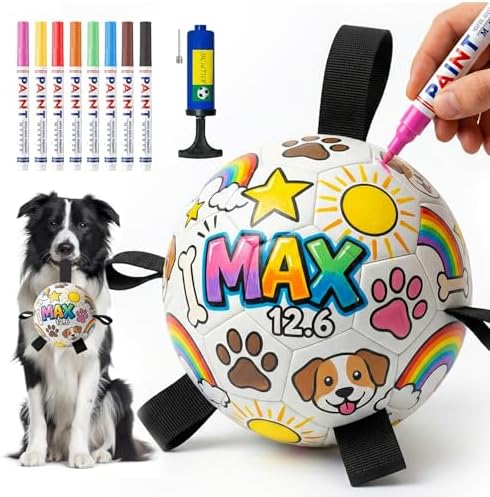 HETOO Paint Your Own Soccer Ball, Art Craft DIY Kit for Dog Party Birthday
