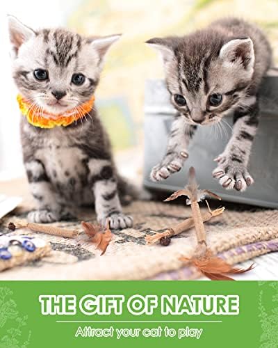 TINDTOP Silvervine Sticks for Cats with Natural Feather, Catnip Chew Toys