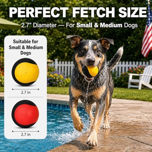 Squeaky Balls for Dogs, Interactive Rubber Fetch Toy for Small Medium Dogs