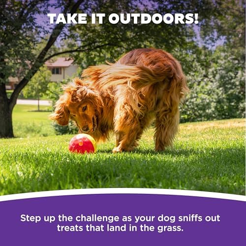 Outward Hound Nina Ottosson Treat Tumble Dog Toy Puzzle Ball, 5.8" | Level 1 Easy, Food-Dispensing Ball, Holds 1 Cup Kibble or Treats, No BPA, Interactive Enrichment, Dogs & Puppies