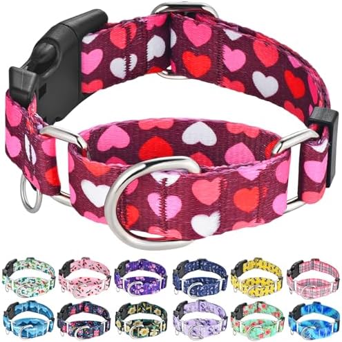 Valentines Martingale Dog Collar Pink Burgundy Heart Love, Large
