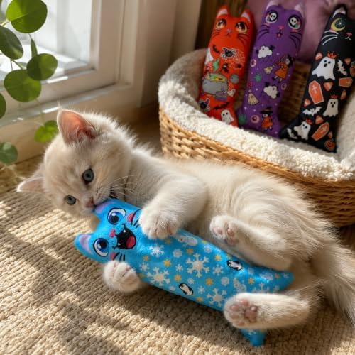 Halloween Christmas Cat Catnip Toys for Indoor Cats Random 4 Pcs