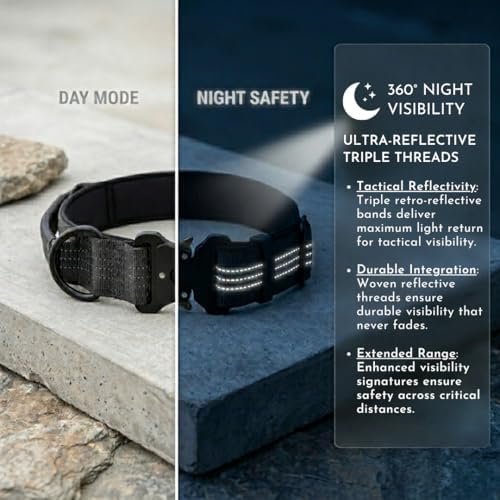 Dog Collar with AirTag Compatible Holder + Leash, Cobra Buckle, Padded, (L)