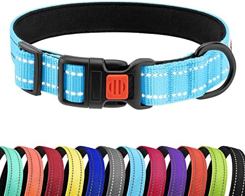 Reflective Dog Collar, Quick-Release Buckle (Light Blue, 14-18 Inch)