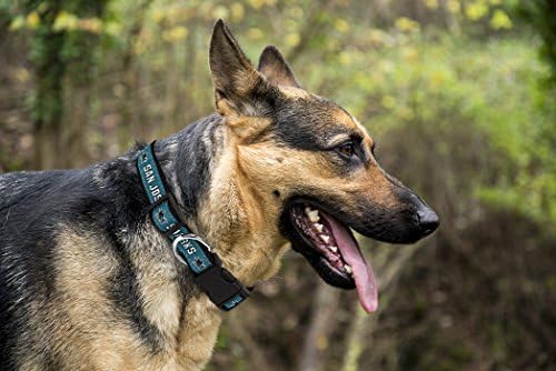 Pets First NHL Collar for Dogs & Cats. Adjustable, Cute, & Stylish! The Ultimate Hockey Fan Collar!