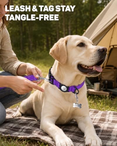 Padded Dog Collar with Waterproof Holder Compatible with Airtag